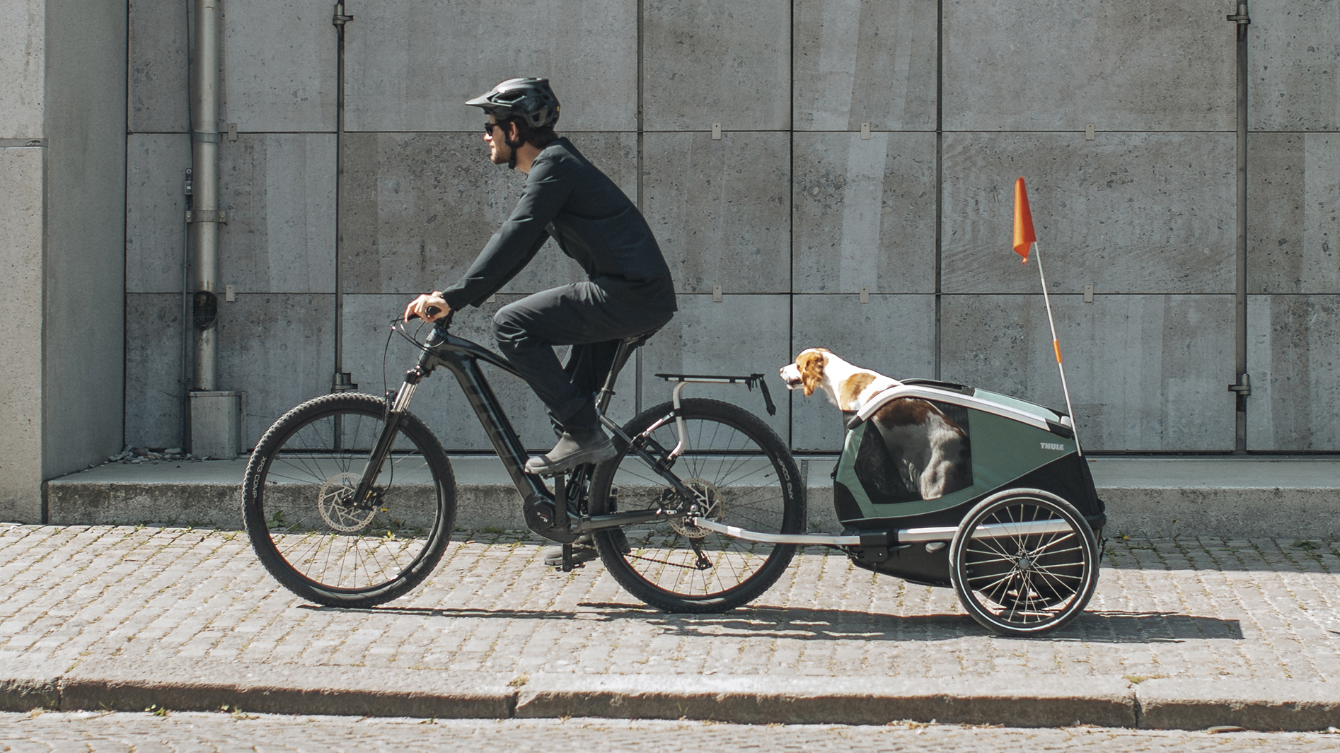 Thule Canne À Pêche Timon Pour Remorque Enfant - Adaptation Vélo De Qualité Supérieure